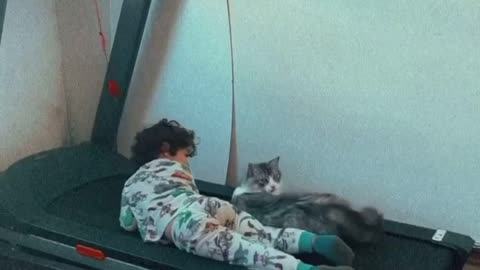 Cat and child in a sport class