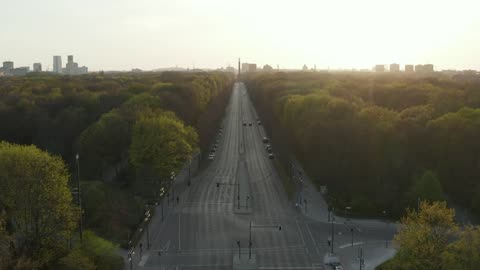 Empty avenue surrounded by trees