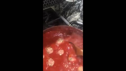 MEATBALLS POUCHED IN A MARINARA SAUCE