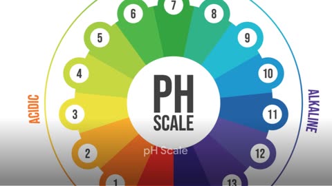 pH Explained: The Power of Hydrogen