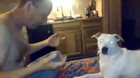 Dog Is Amazed And Upset By Man's Magic Trick