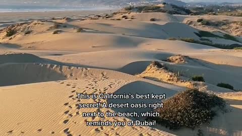 This is California's best kept secret! A desert oasis right