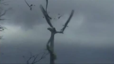 Windmill destructed in storm