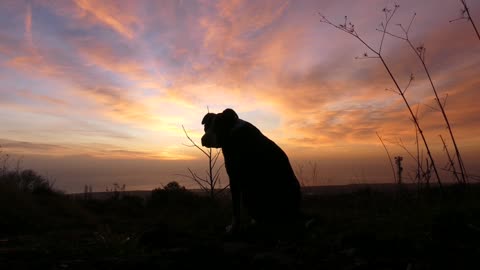 Breathtaking footage! He was watching sunrise with his dogs, the volcano explode in front of him!