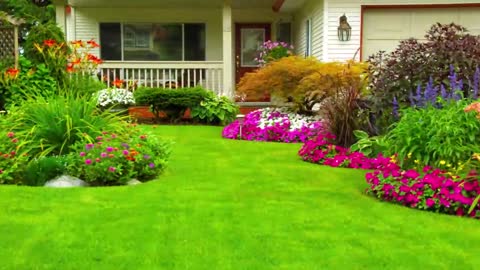Yard Scaping Services - (301) 359-6500