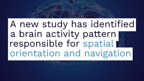 Human Brain’s Navigational Code Discovered, Revolutionizing Understanding of Spatial Orientation