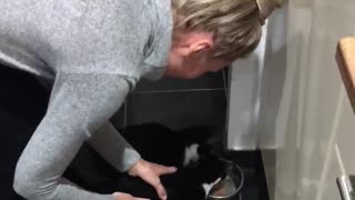 Rescued Kittens are just the cutest during feeding time.