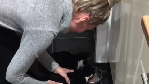 Rescued Kittens are just the cutest during feeding time.
