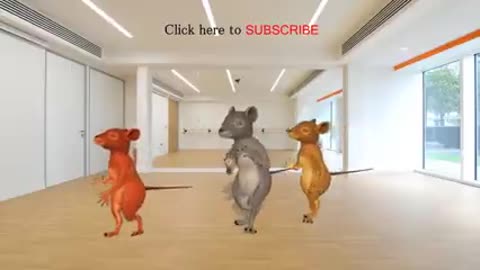 Funny Rats Dancing