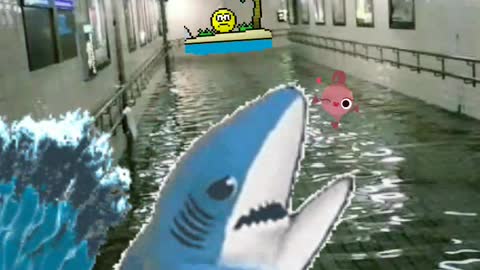 Funny, shark in the subway