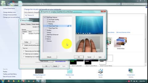 Synaptics TouchPad Settings