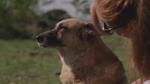 Girl Petting A Dog