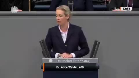 Weidel letzte Rede - ein Elaborat voller Bonmots und realer Einsicht