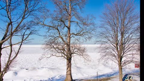 Frozen Lake Erie and Wildlife, Huron, OH, February 21, 2021