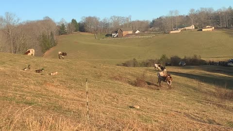 A beautiful North Georgia afternoon!