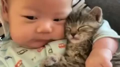 baby holding cute kitten