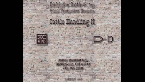 Cattle Handling II - Old VHS from the 90's