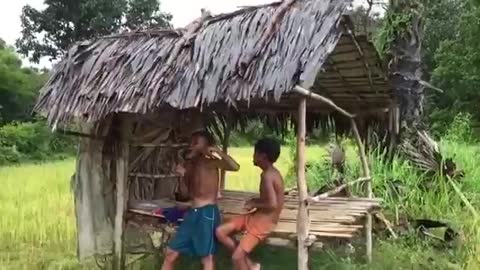 Wow! Children Catch Water Snake Using Bamboo Net Trap