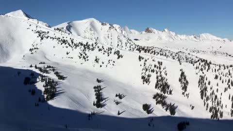 Skiing at Kicking Horse Mountain Resort