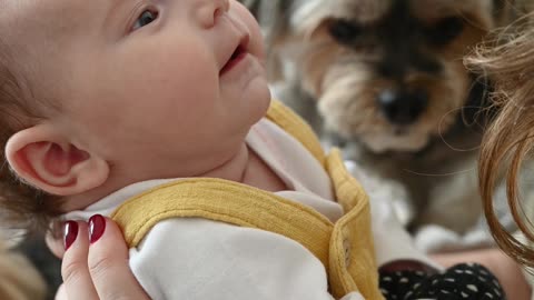 pets and babies, a perfect match.