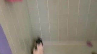 Cats shower time