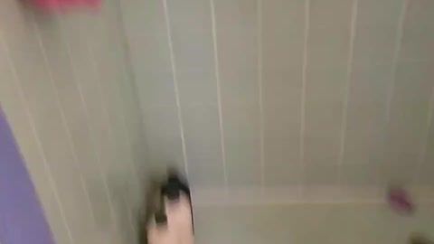 Cats shower time