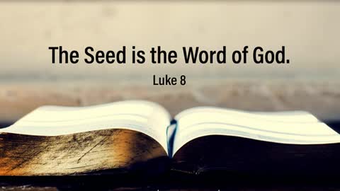 The Lion's Table: The Seed is God's Word