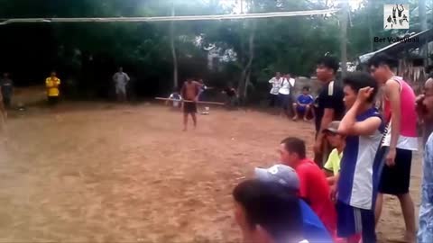 Volleyball hit by tree
