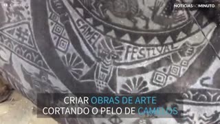 Turista cria obra de arte incrível em camelo