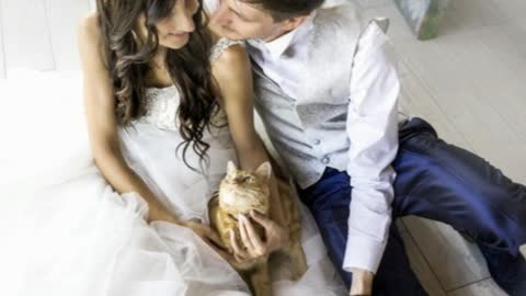 Cat Lovers Make Sure Their Pets Participate In Wedding