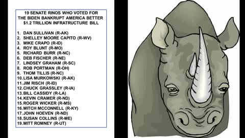 19 SENATE RINOS