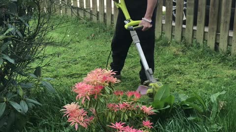 My husband cutting grass