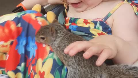 My kid met a squirrel today..