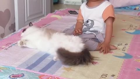 Kiity got NO Chill. Baby Playing with cat Funny Video