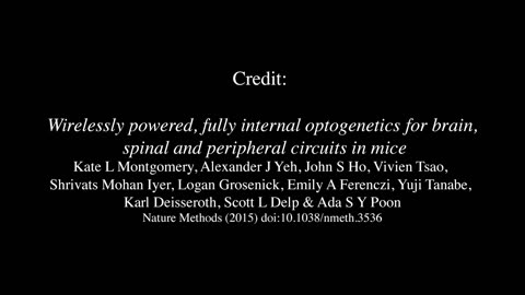 Wirelessly controlled mice using light - SciNews 2015