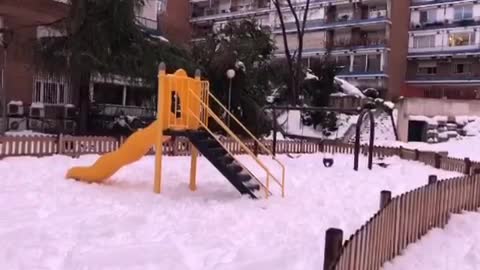 Watch Maggie playing with the snow and how happy he is with the snow