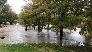 Farm Submerged in Flood