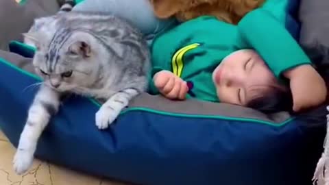 Baby with cute dog and cat