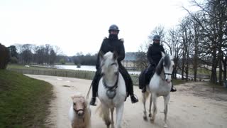 Dancing Horses Keep Up The Training in France