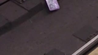 Rat dragging purple paper subway tracks