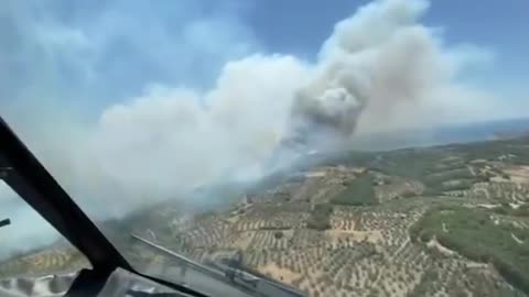 Wildfires in the Dadia National Park and on the island of Lesbos,
