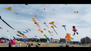 Annual Kite Festival 2022 with Luna 🪁