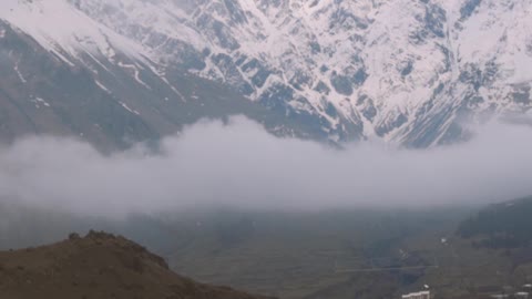 critters near everest