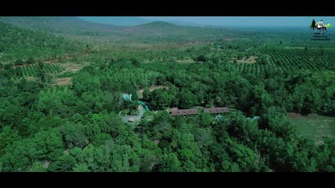 Asias The Most LuxuriousKirirom Hilside Resort in Cambodia l Video TVC l Mr City Studio 1