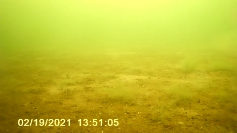 Underwater Ice Fishing Video