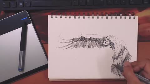 Drawing an eagle in a simple and fast way