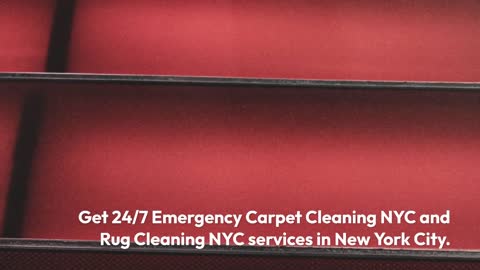 Best Carpet Cleaning Services In New York|Organic Rug Cleaners