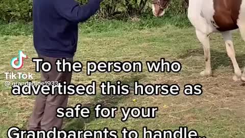 Man vs horse