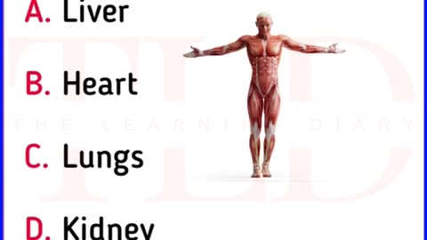 Human Body Facts #generalknowledge #shorts #educationalvideos #humanbodyfacts