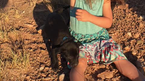 Puppies loving on Laci in Moab